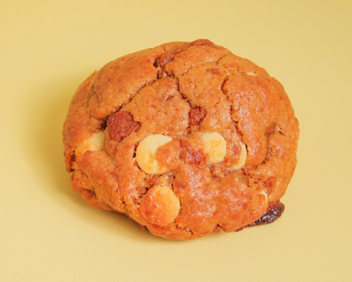 Cookie de Lotus - Sukie Cookie