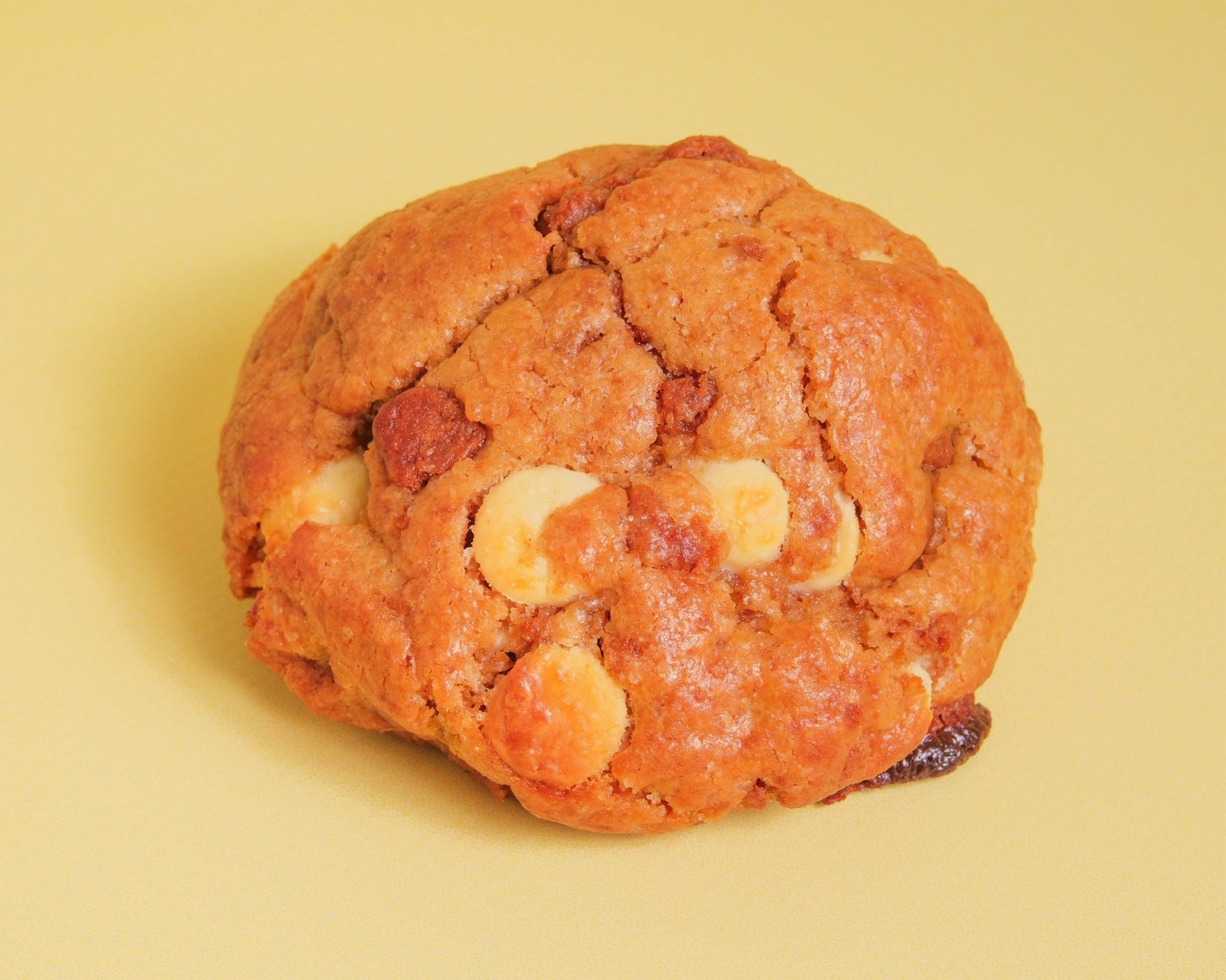 Cookie de Lotus - Sukie Cookie